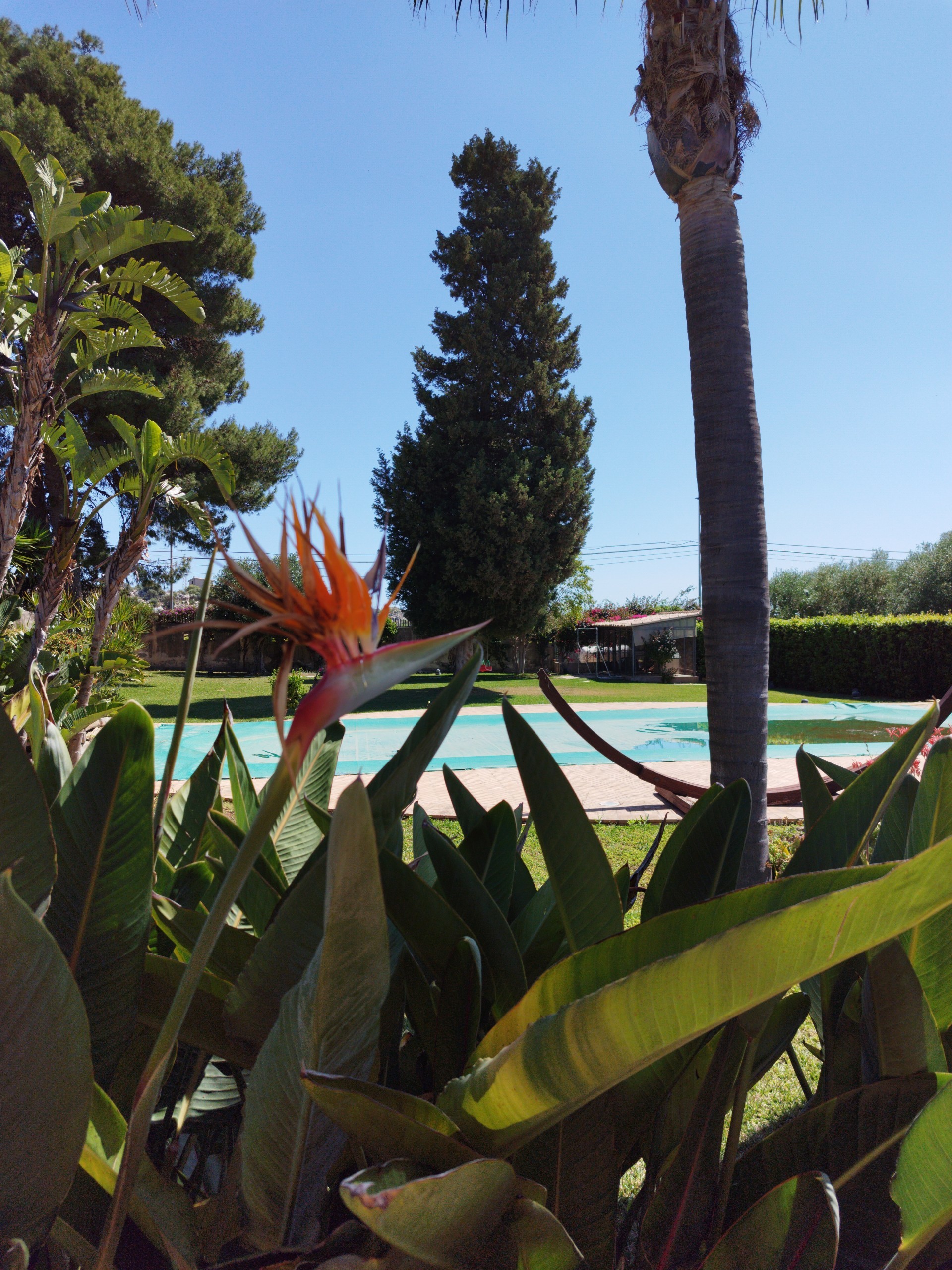 Vendesi Villa Il Parco Luxury villa in Siracusa con ampio giardino alberato e piscina